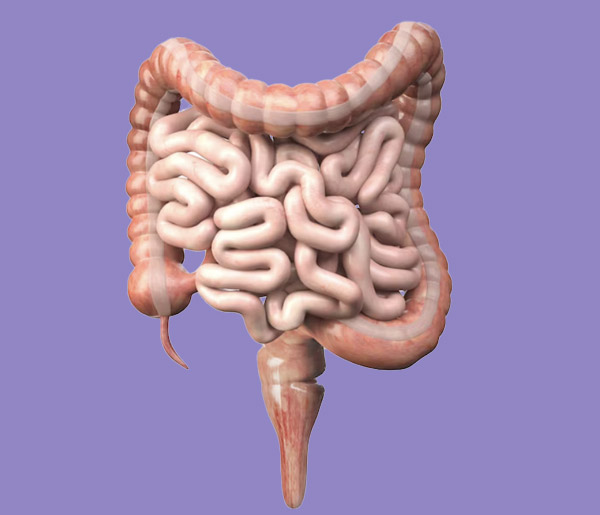 Cura delle patologie del colon del retto e dell'ano a Milano